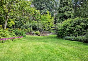 Optimiser l'expérience du jardin à Chateau-sur-Epte